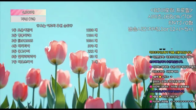 图片[4] - [Korean BJ] hfpw4i19 2025-07-13 - KBJFan