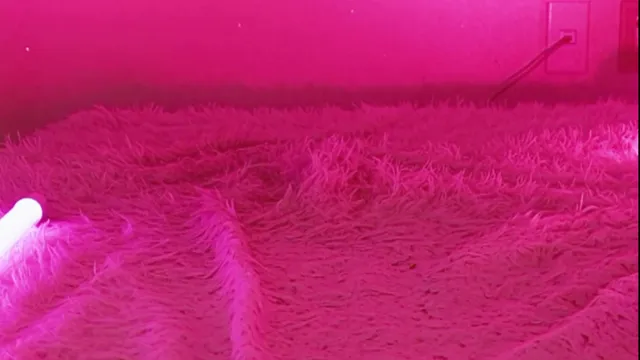 [Korean BJ] heenoo 2026-01-26 - KBJFan