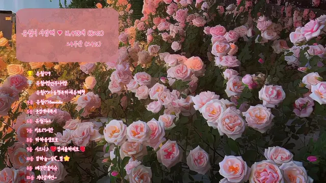 图片[7] - [Korean BJ] yourare 2024-10-24 - KBJFan