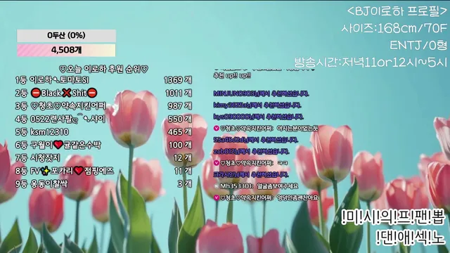 [Korean BJ] hfpw4i19 2025-06-22 - KBJFan