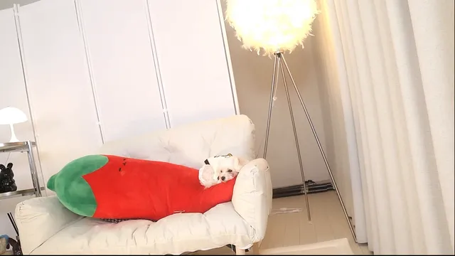 图片[2] - [Korean BJ] ruaa3a 2026-02-07 - KBJFan