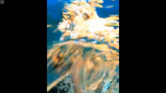 图片[5] - [Korean BJ] pinktension 2025-06-21 - KBJFan