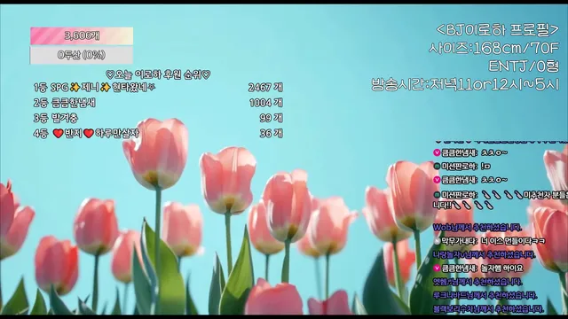 图片[2] - [Korean BJ] hfpw4i19 2025-07-17 - KBJFan