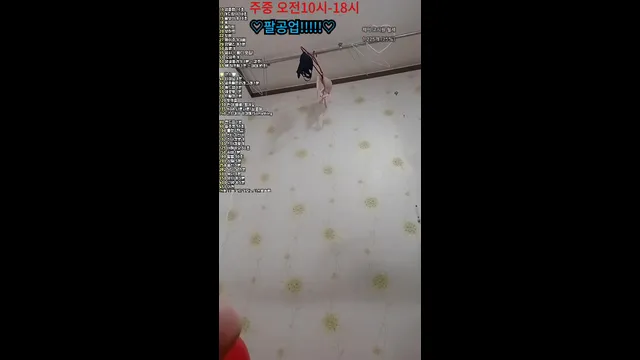 图片[3] - [Korean BJ] yyj01317 2025-08-21 - KBJFan