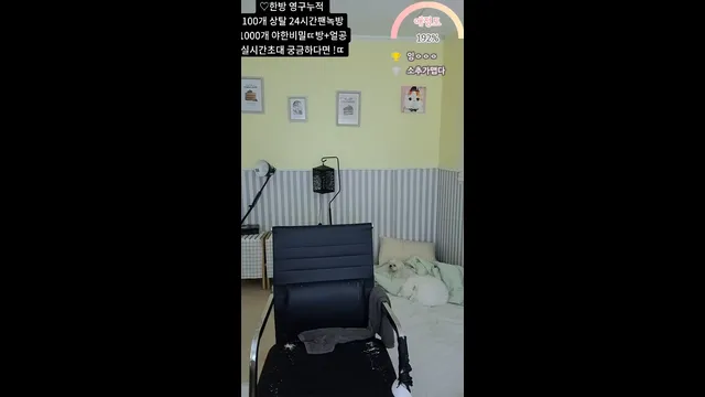 [Korean BJ] ddo125 2025-07-25 - KBJFan