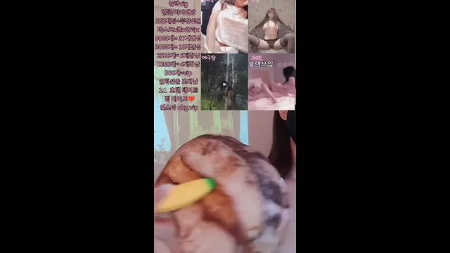 图片[3] - [Korean BJ] day59day 2025-05-06 - KBJFan