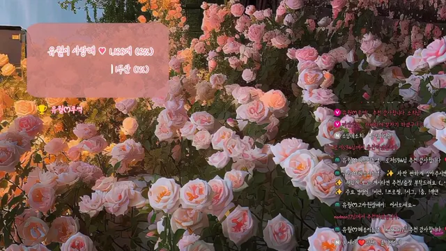 图片[2] - [Korean BJ] yourare 2025-01-26 - KBJFan