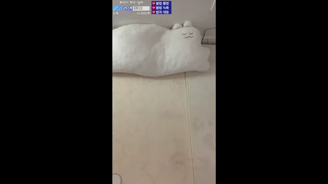 图片[5] - [Korean BJ] wintersnowwin 2025-07-10 - KBJFan