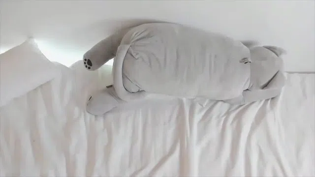 图片[7] - [Korean BJ] ohhanna 2023-09-22 - KBJFan