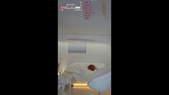 图片[4] - [Korean BJ] homegirl 2025-07-30 - KBJFan