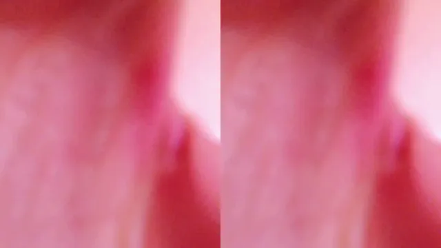 [Korean BJ] zmalqp6666 2025-06-04 - KBJFan