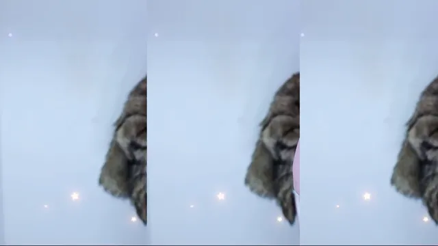 图片[2] - [Korean BJ] victoriass 2025-11-23 - KBJFan