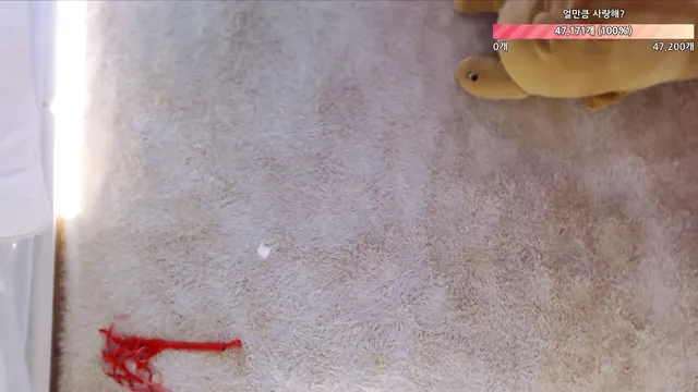 图片[12] - [Korean BJ] heenoo 2025-03-12 - KBJFan