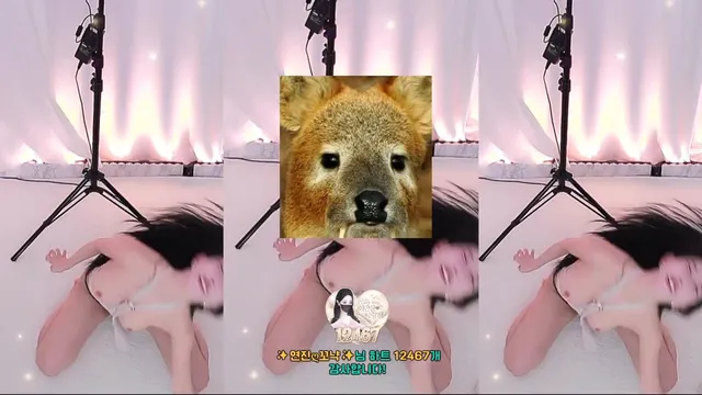 图片[5] - [Korean BJ] gyg4618 2025-12-17 - KBJFan