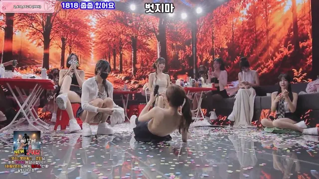 图片[81] - [Korean BJ] pandaclass 2026-06-20 - KBJFan