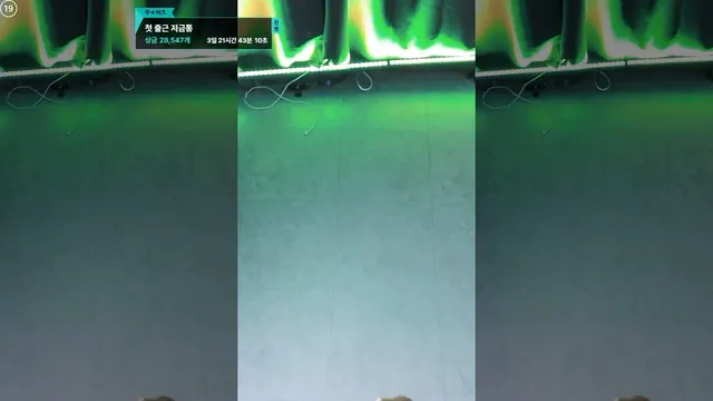 [Korean BJ] duswn8243 2025-07-10