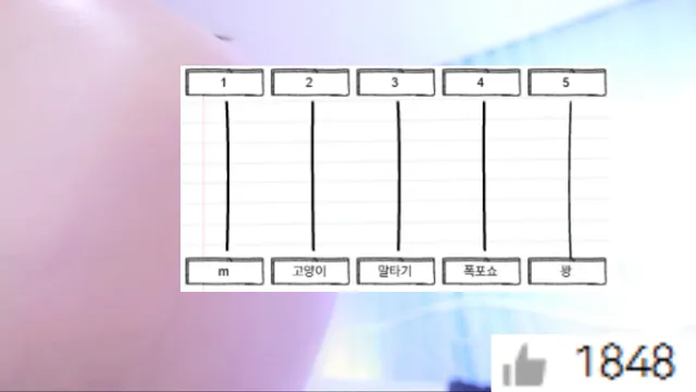 图片[13] - [Korean BJ] doobooseezzi 2025-08-11 - KBJFan