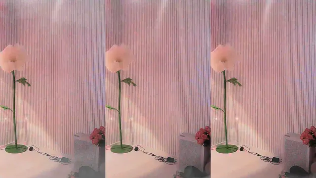 图片[6] - [Korean BJ] qkeksms3 2026-04-01 - KBJFan