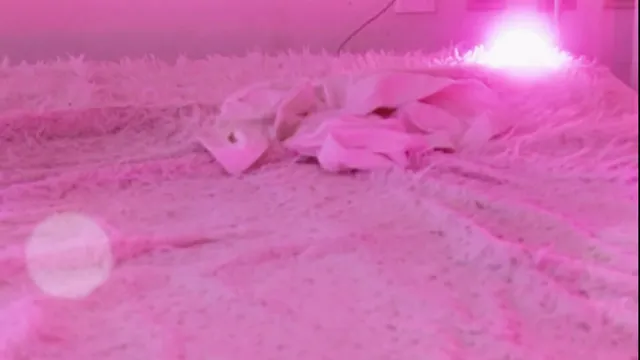 图片[6] - [Korean BJ] heenoo 2025-12-24 - KBJFan