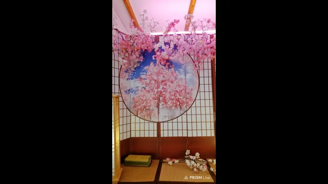 图片[5] - [Korean BJ] heenoo 2025-02-19 - KBJFan