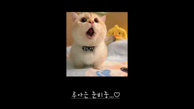 图片[7] - [Korean BJ] bboever2865 2025-04-28 - KBJFan