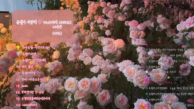 图片[7] - [Korean BJ] yourare 2025-01-29 - KBJFan