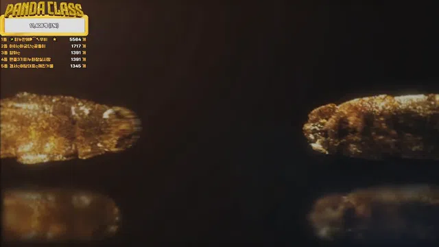 图片[7] - [Korean BJ] pandaclass 2025-02-20 - KBJFan