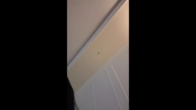 图片[22] - [Korean BJ] raindropx 2025-11-11 - KBJFan