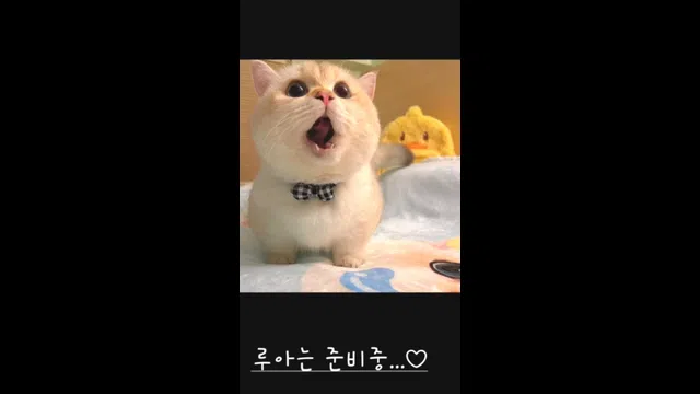 图片[7] - [Korean BJ] bboever2865 2025-03-08 - KBJFan