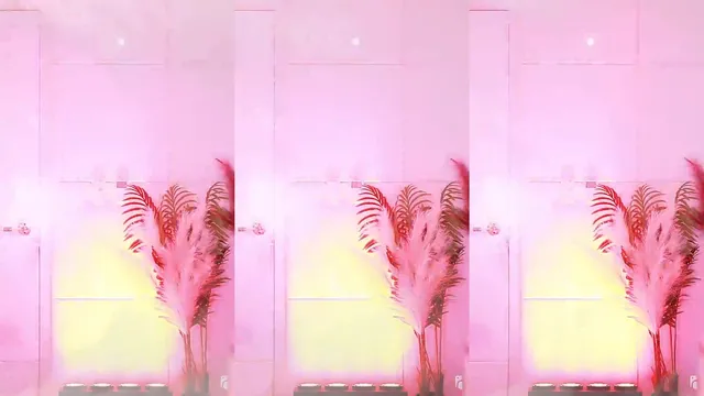 图片[3] - [Korean BJ] qkeksms3 2025-11-11 - KBJFan