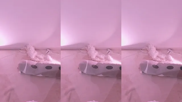 图片[4] - [Korean BJ] naras2 2025-03-31 - KBJFan