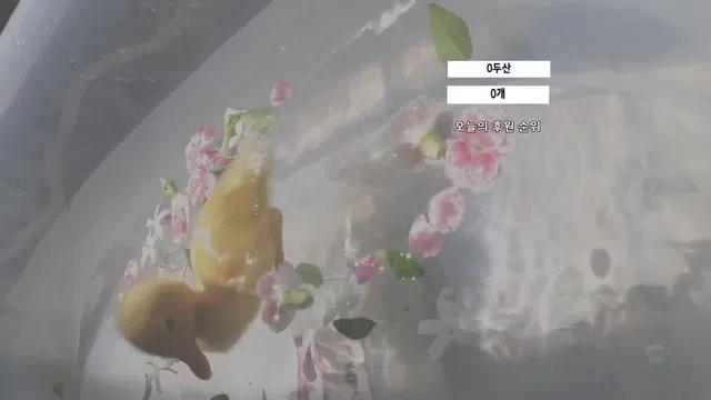 图片[21] - [Korean BJ] moem9e9 2025-03-08 - KBJFan