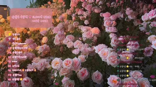 图片[7] - [Korean BJ] yourare 2024-09-04 - KBJFan