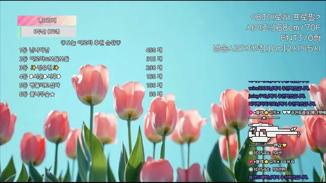 图片[3] - [Korean BJ] hfpw4i19 2025-09-01 - KBJFan