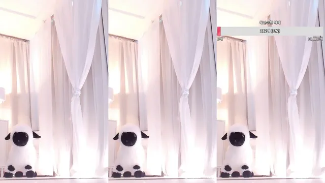 图片[1] - [Korean BJ] hehe0000 2025-05-30 - KBJFan