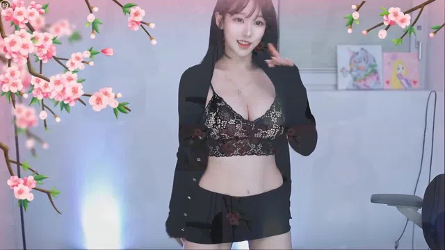 [Korean BJ] tnwl9630 2025-04-23-秀人集