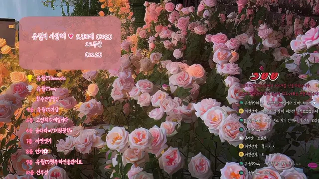 图片[7] - [Korean BJ] yourare 2024-12-14 - KBJFan