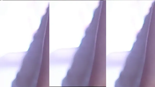 图片[1] - [Korean BJ] bks1004 2025-09-21 - KBJFan