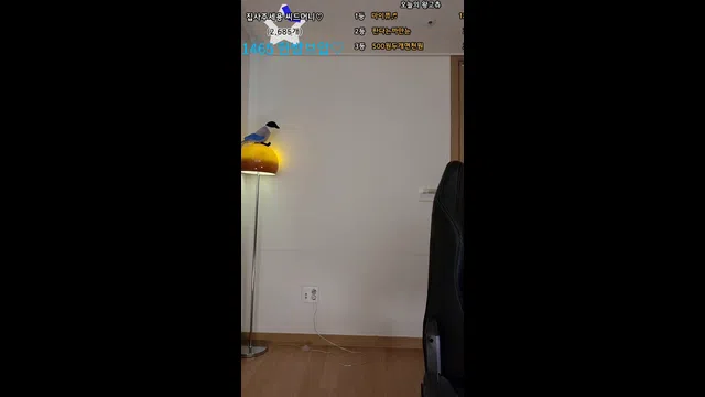 图片[7] - [Korean BJ] banet523 2024-07-10 - KBJFan