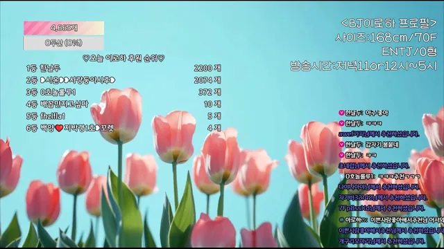 图片[1] - [Korean BJ] hfpw4i19 2025-08-22 - KBJFan