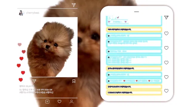 图片[14] - [Korean BJ] cherrybest 2026-01-02 - KBJFan