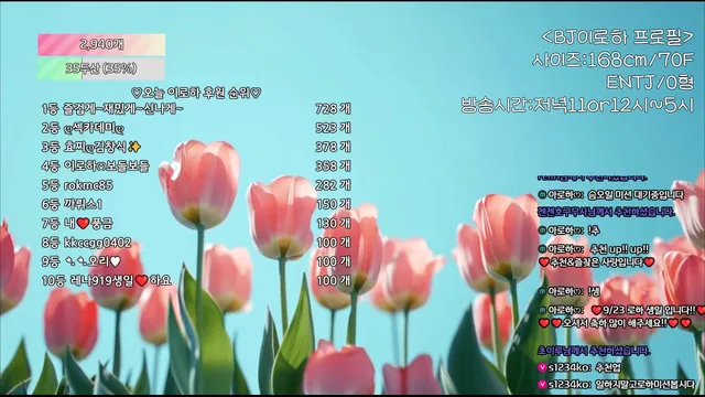 图片[4] - [Korean BJ] hfpw4i19 2025-09-05 - KBJFan