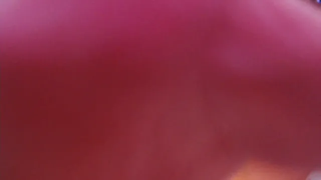 图片[3] - [Korean BJ] tjfflddl7 2025-02-06 - KBJFan