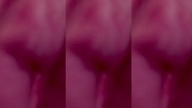 图片[7] - [Korean BJ] happybbi12 2025-02-22 - KBJFan