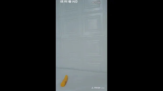 图片[1] - [Korean BJ] 1919152 2025-03-02 - KBJFan