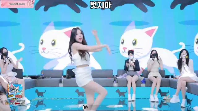 图片[72] - [Korean BJ] pandaclass 2025-08-28 - KBJFan