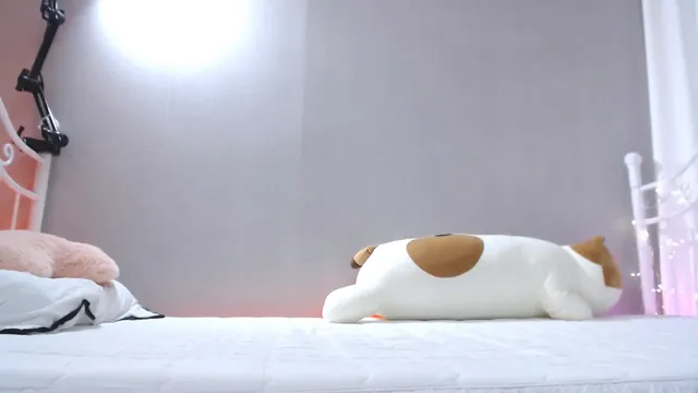 图片[3] - [Korean BJ] bodra31 2025-06-14 - KBJFan