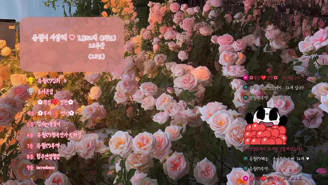 图片[6] - [Korean BJ] yourare 2025-02-21 - KBJFan