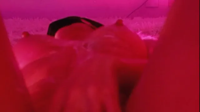 图片[3] - [Korean BJ] heenoo 2026-03-10 - KBJFan