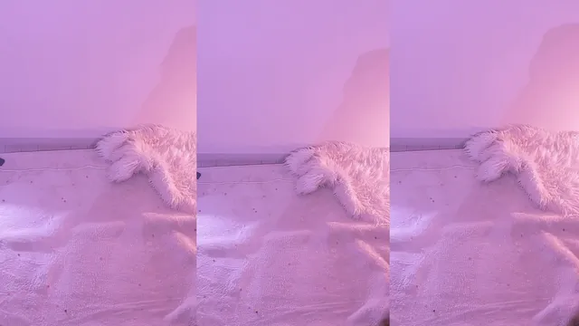 图片[6] - [Korean BJ] naras2 2025-03-18 - KBJFan